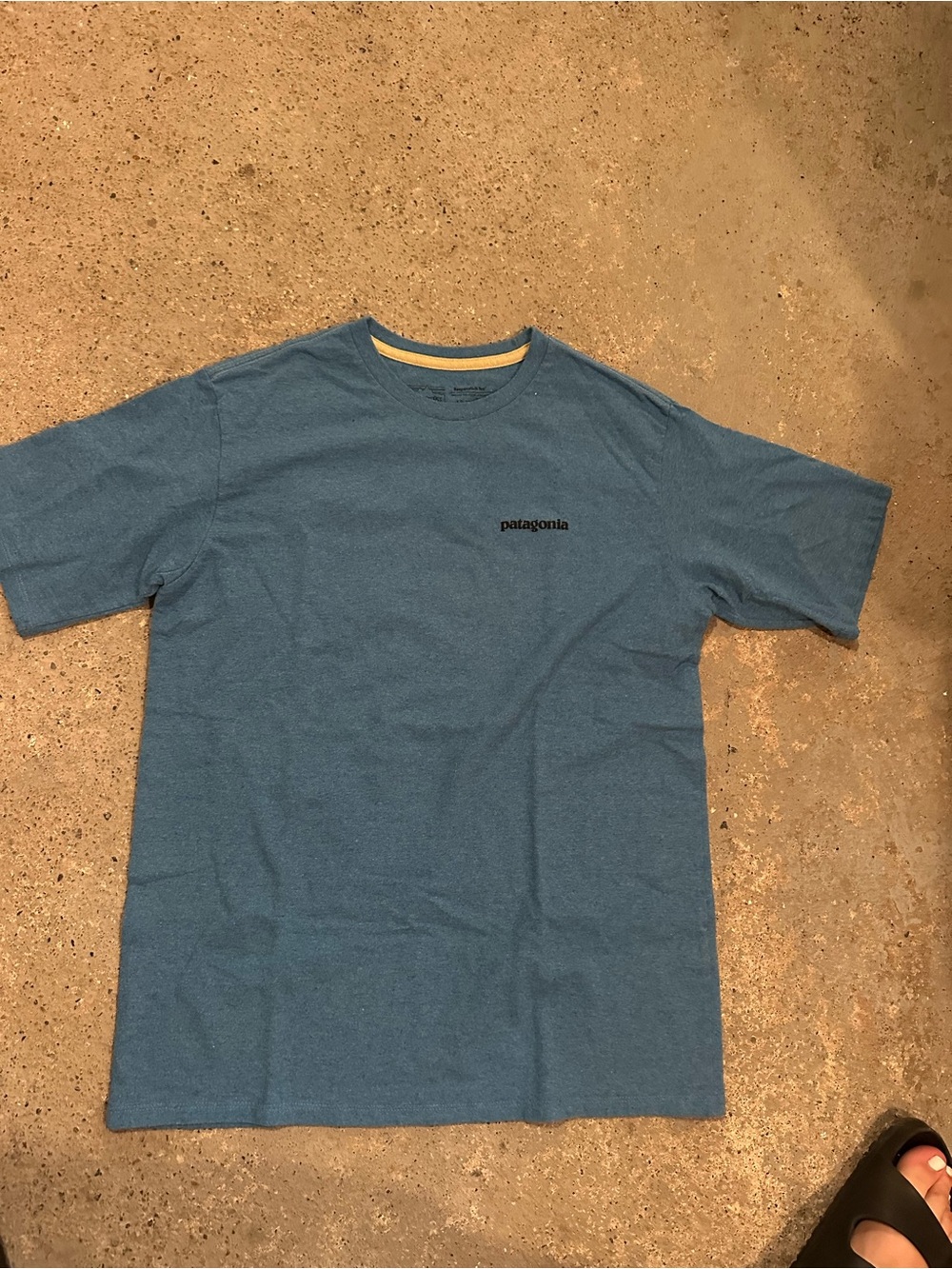 Patagonia Crewneck Short-Sleeve T-Shirt